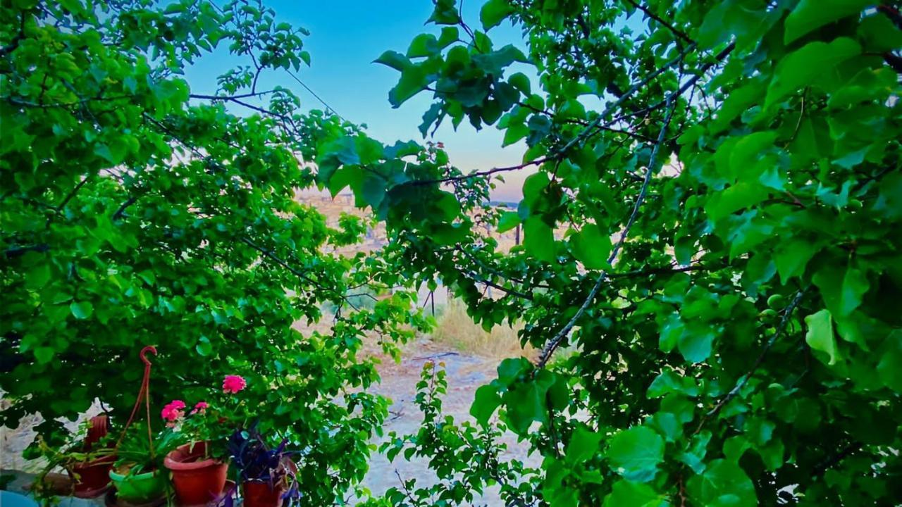 Jerash Canopy Jarash Esterno foto